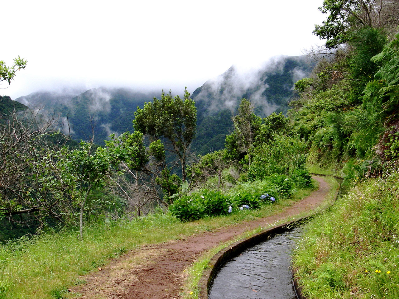 Levada, Madeira